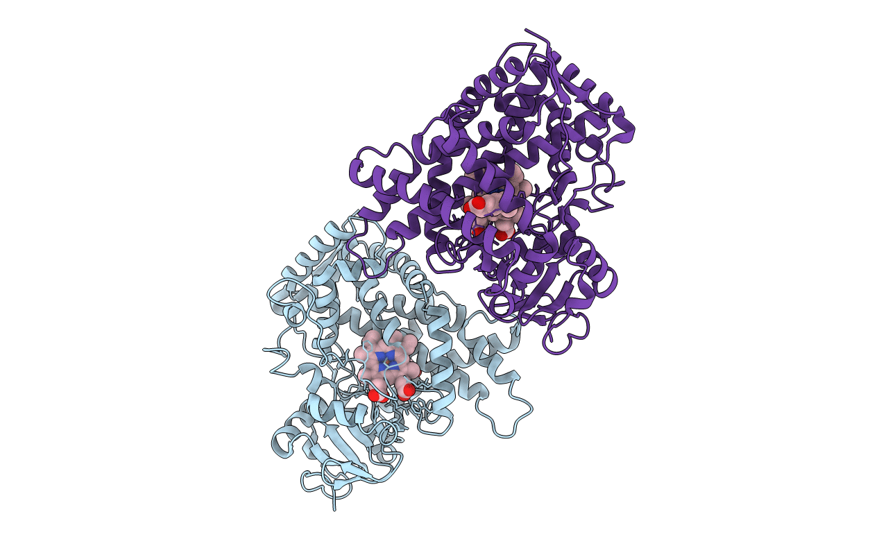 3GPH image