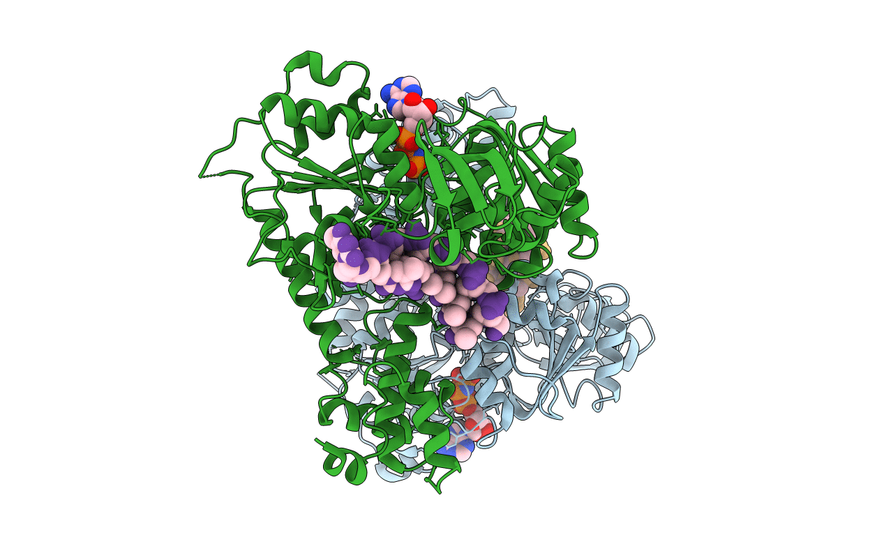 3GPL image