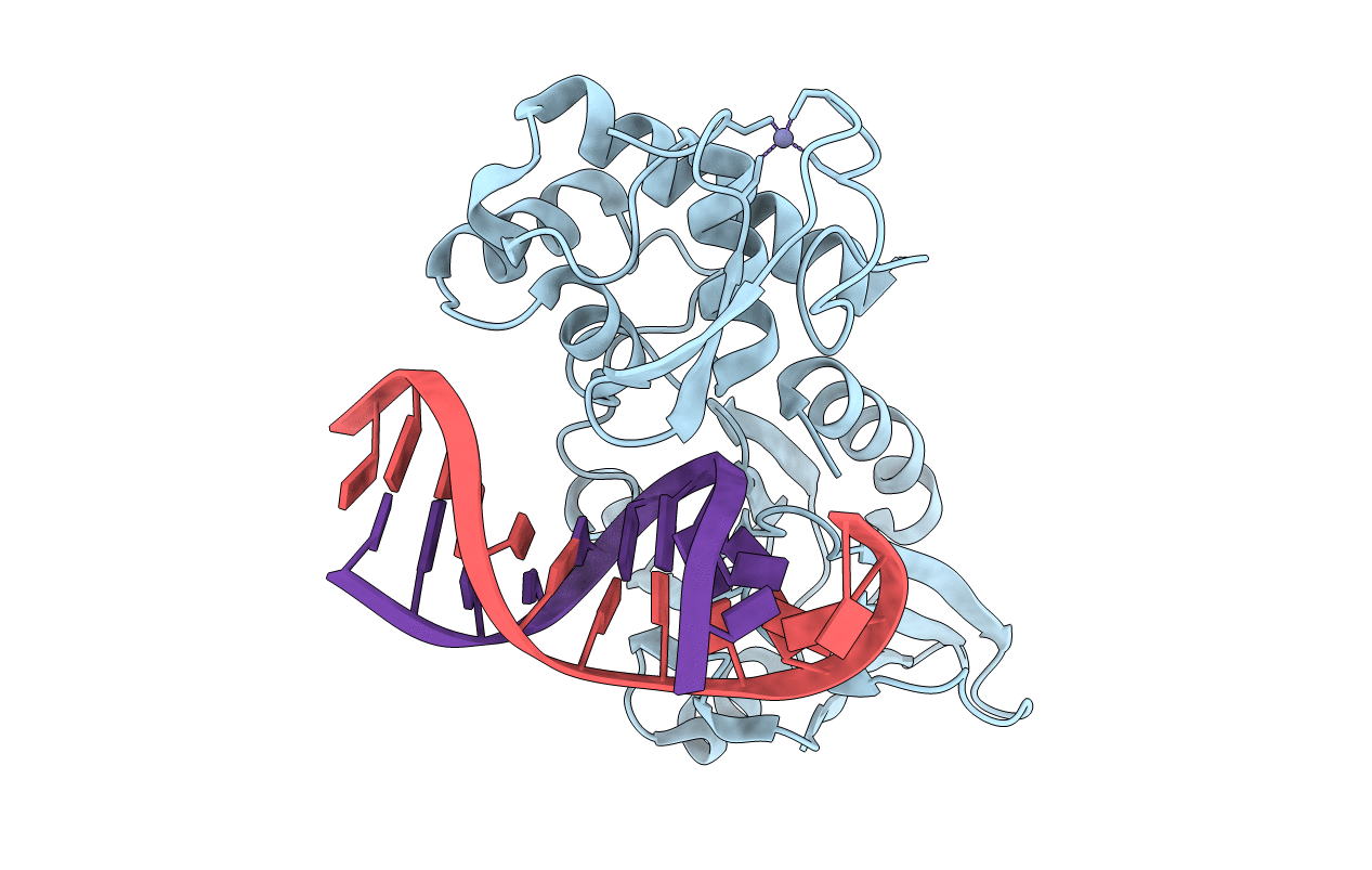 3GPX image