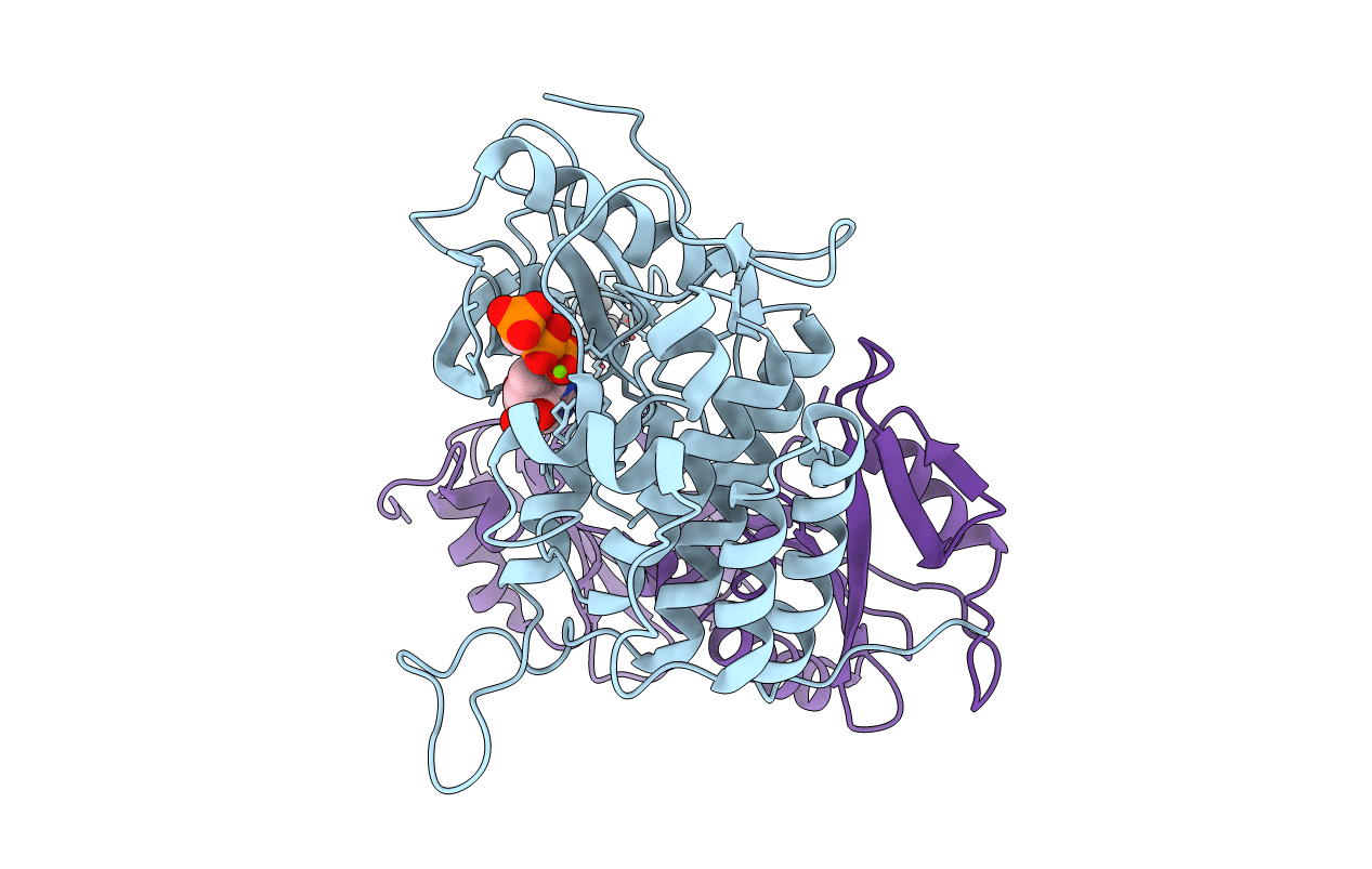 3GQI image