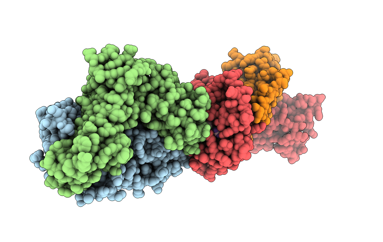 3GSN image