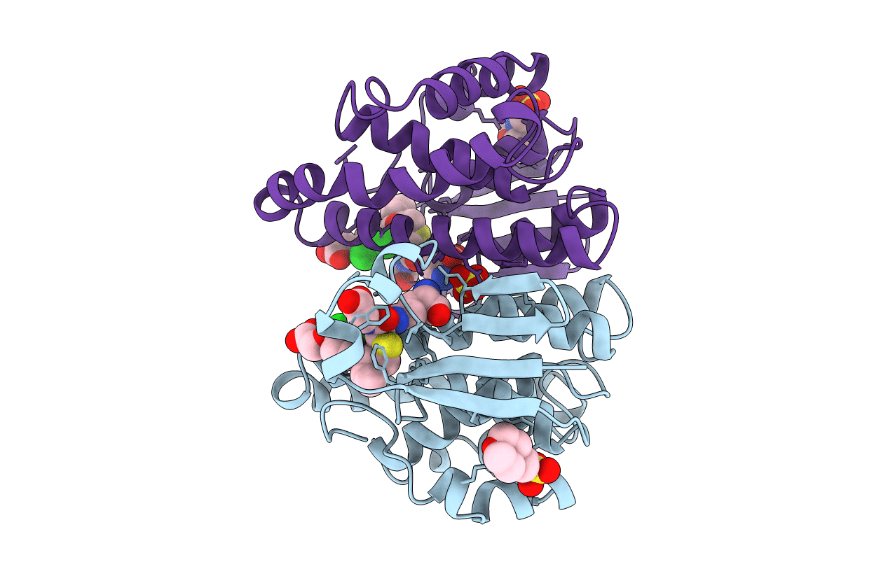 3GSS image
