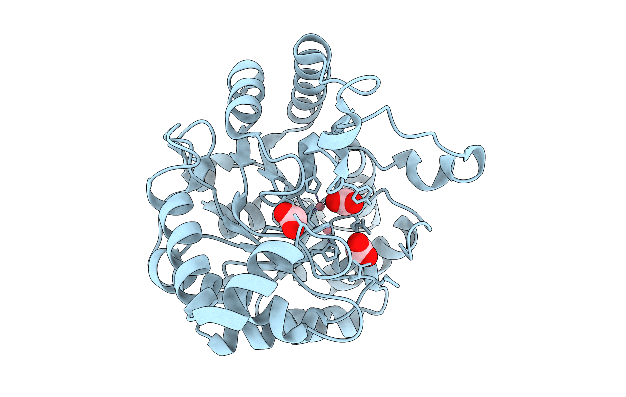 3GTH image