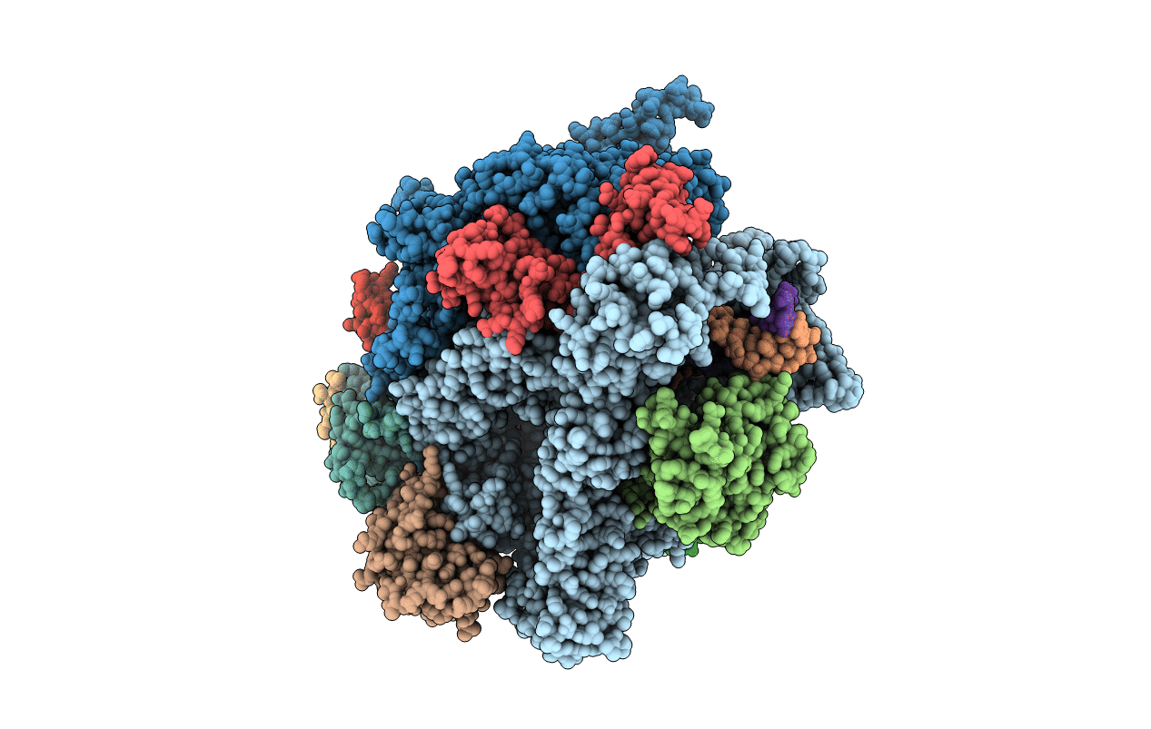 3GTK image