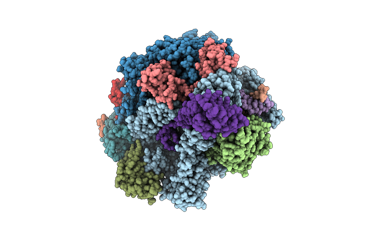 3GTM image
