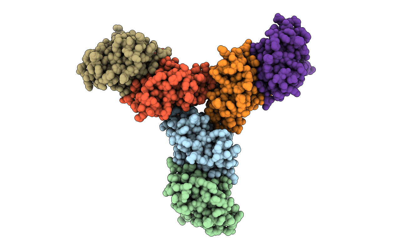 3GTT image