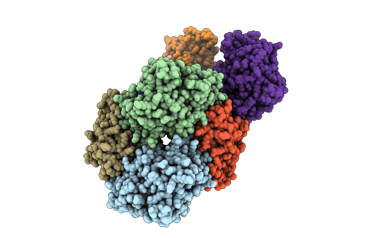 3GVI image