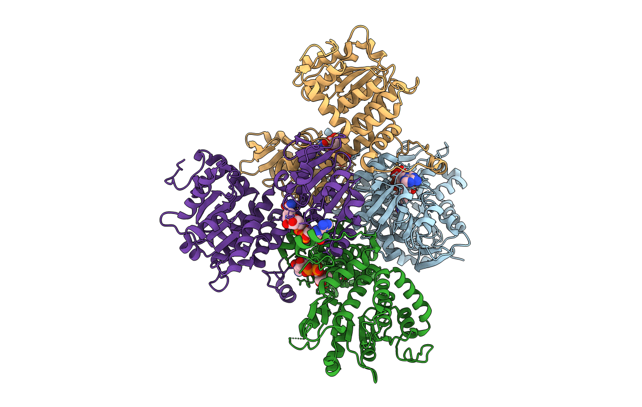 3GVP image