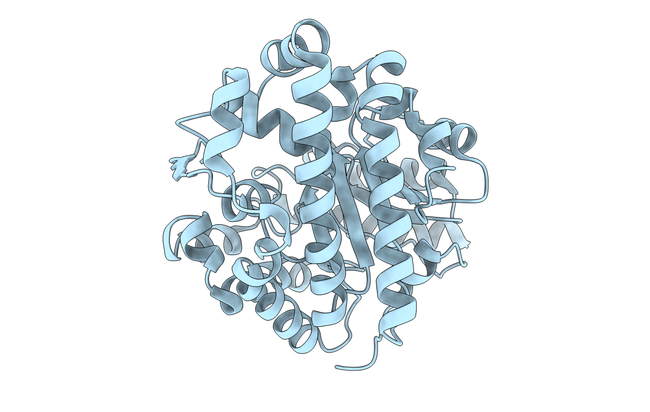 3GVR image