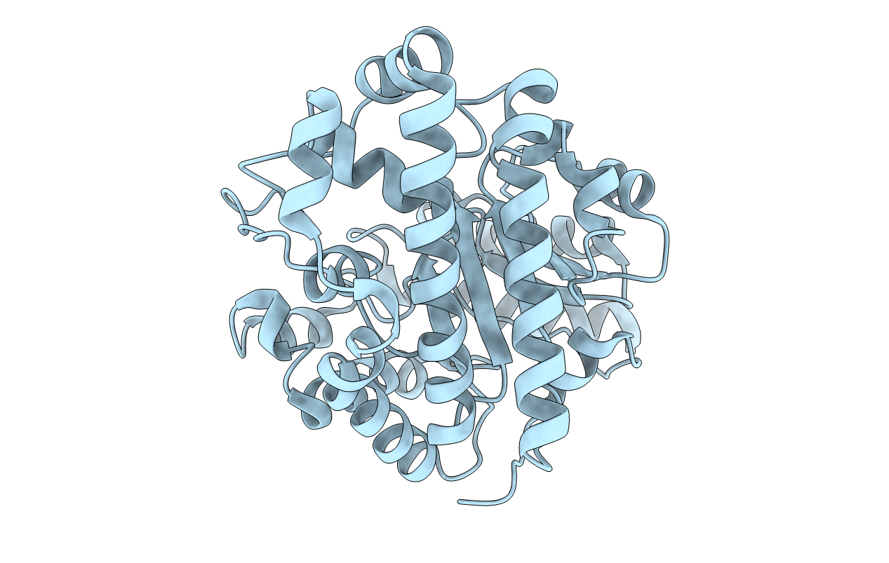 3GVV image