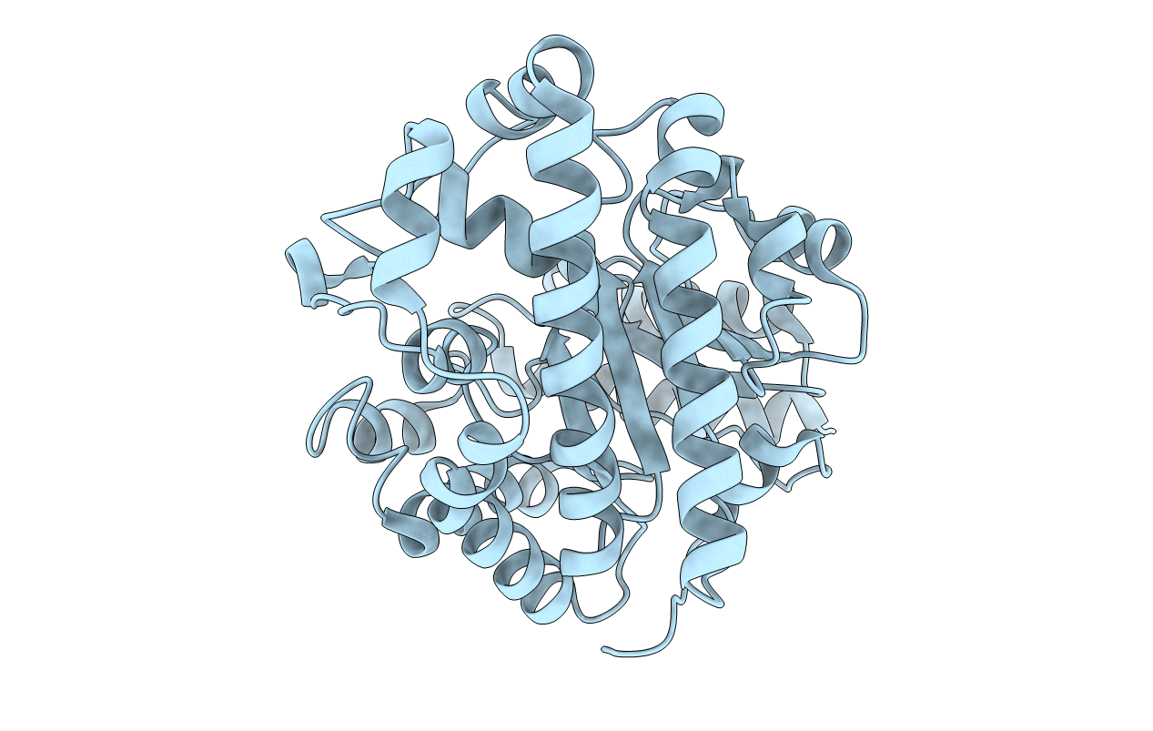 3GVW image
