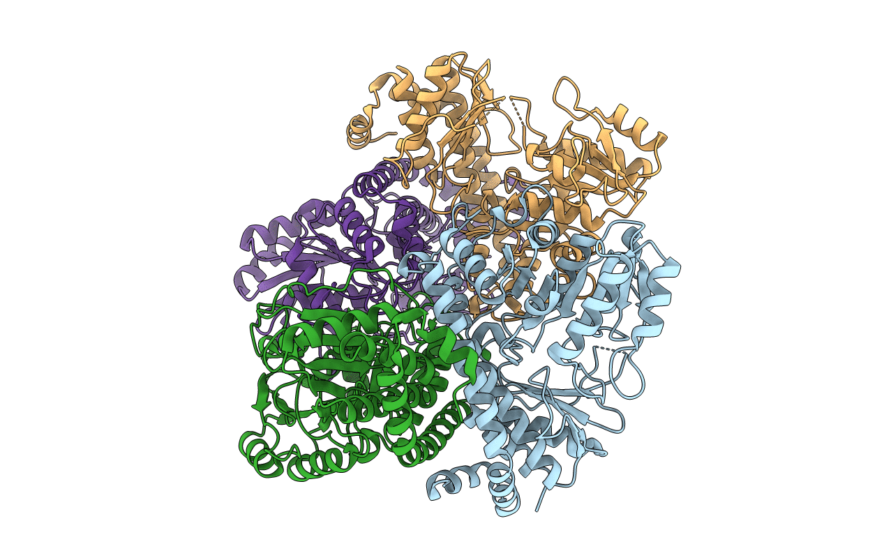 3GWP image
