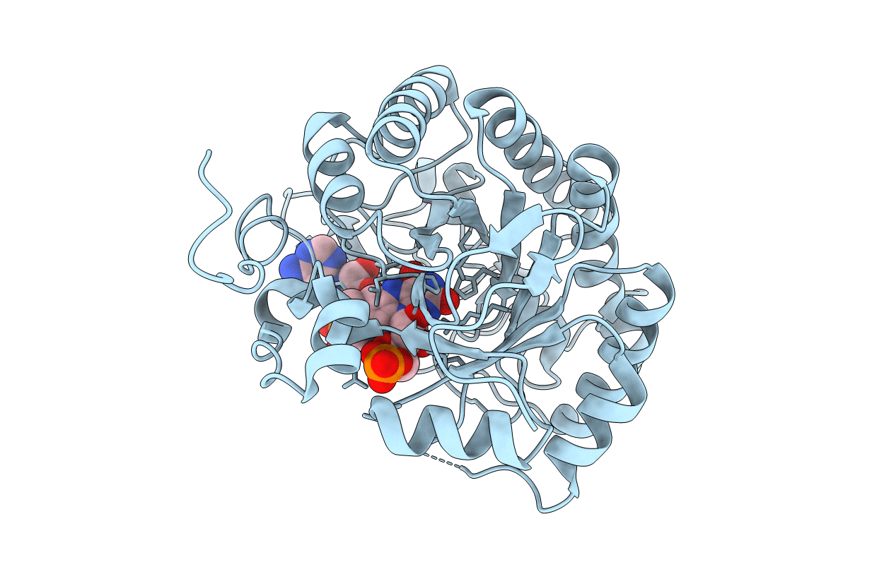3GX9 image