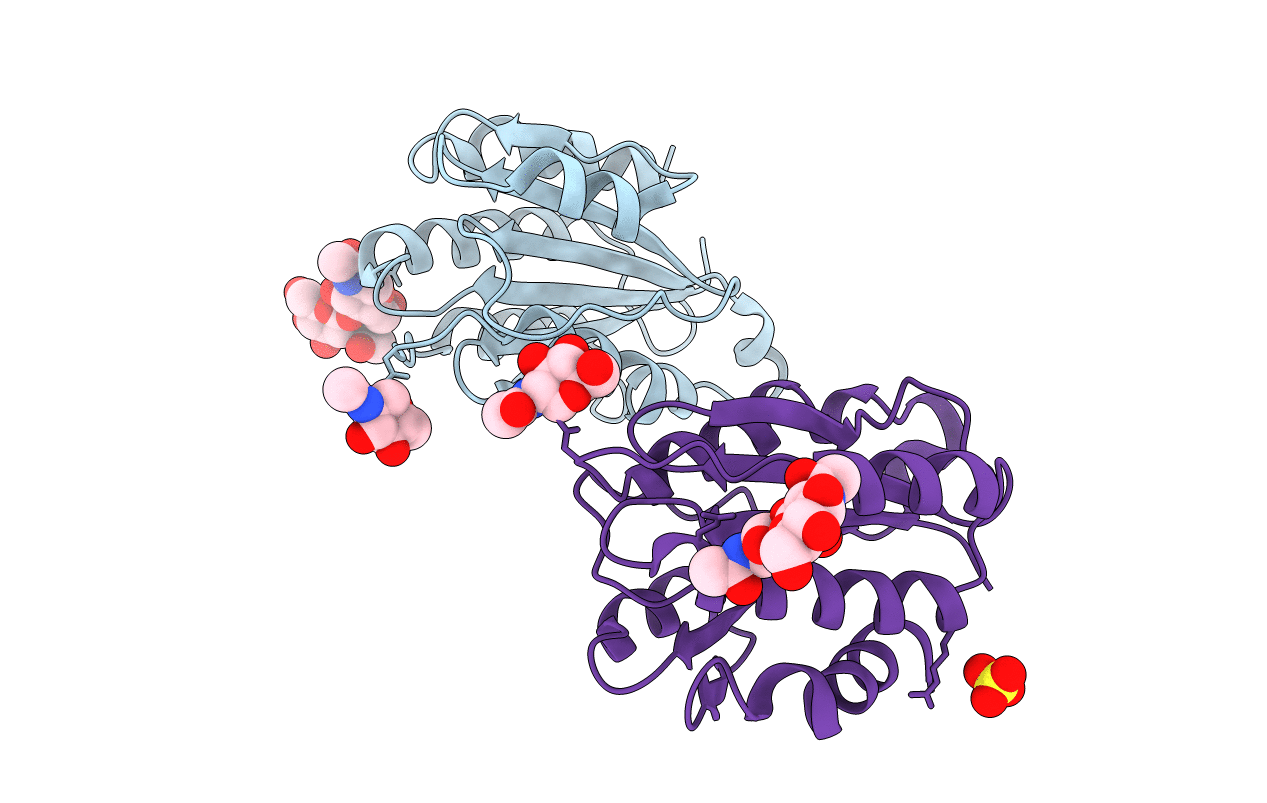 3GXB image