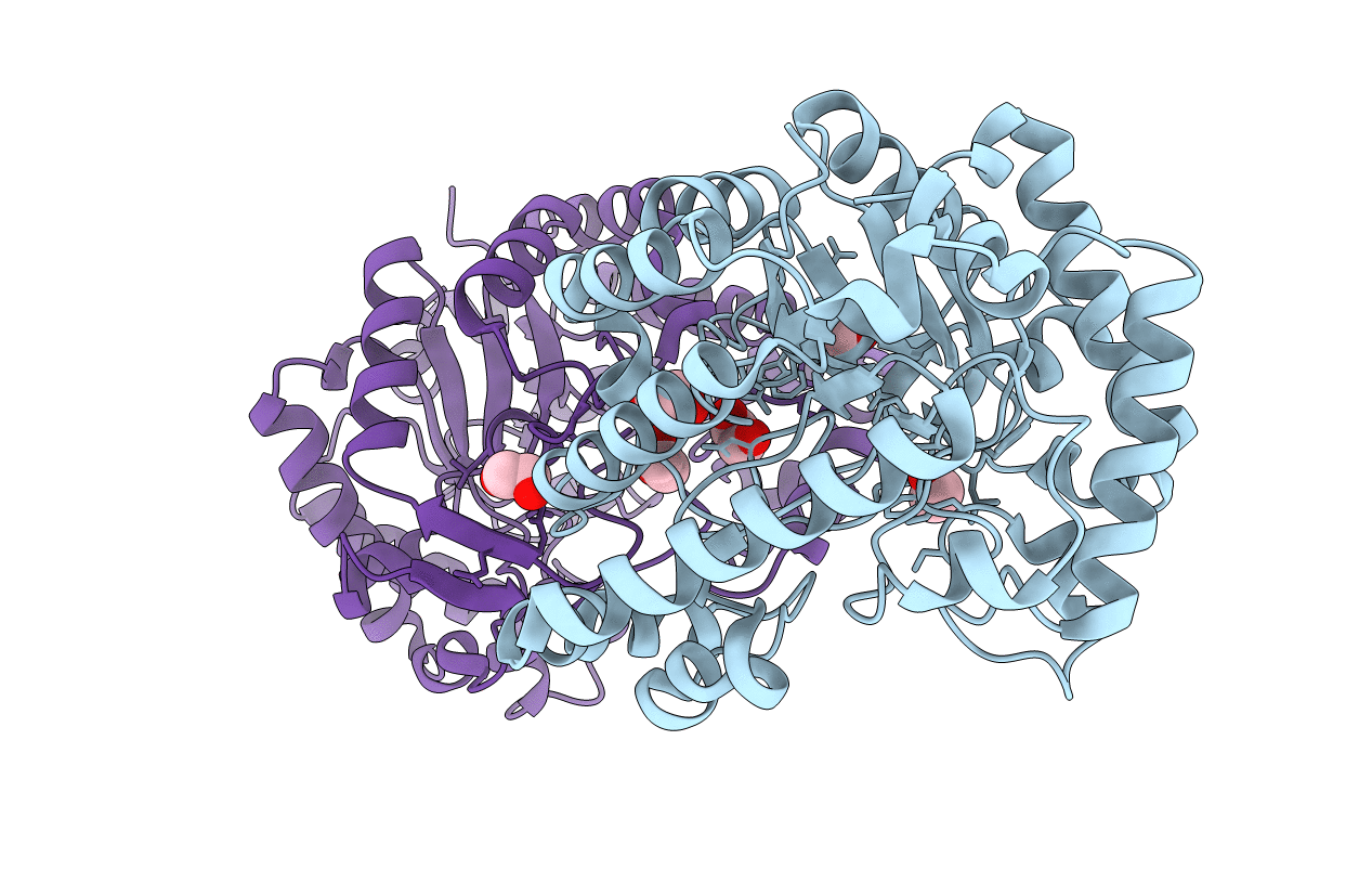 3GYC image