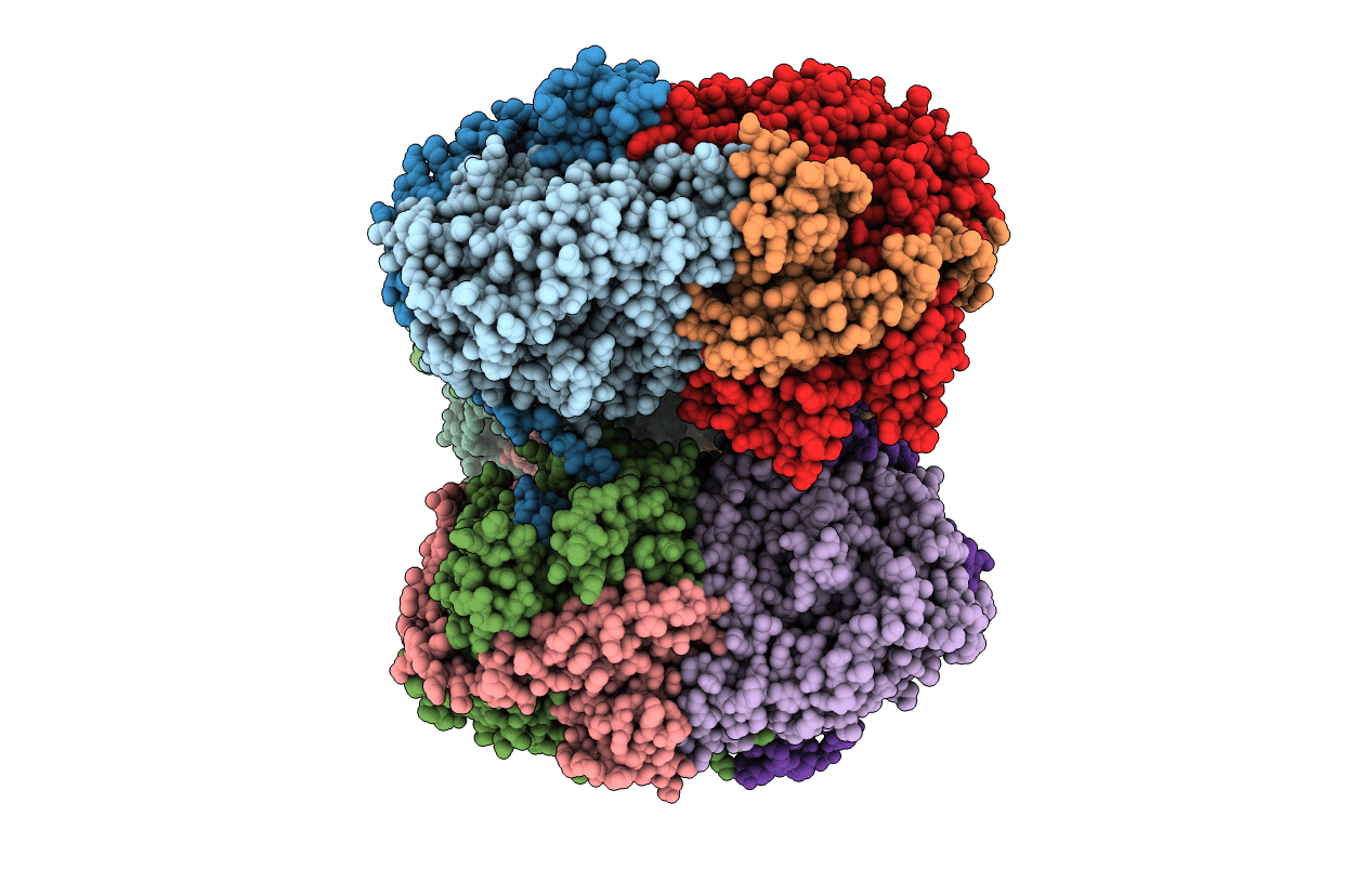 3GYX image