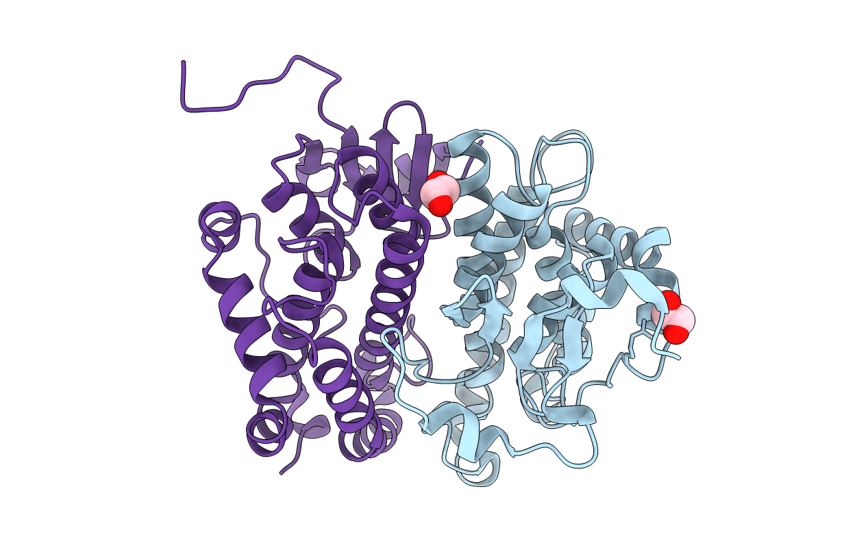 3H1N image
