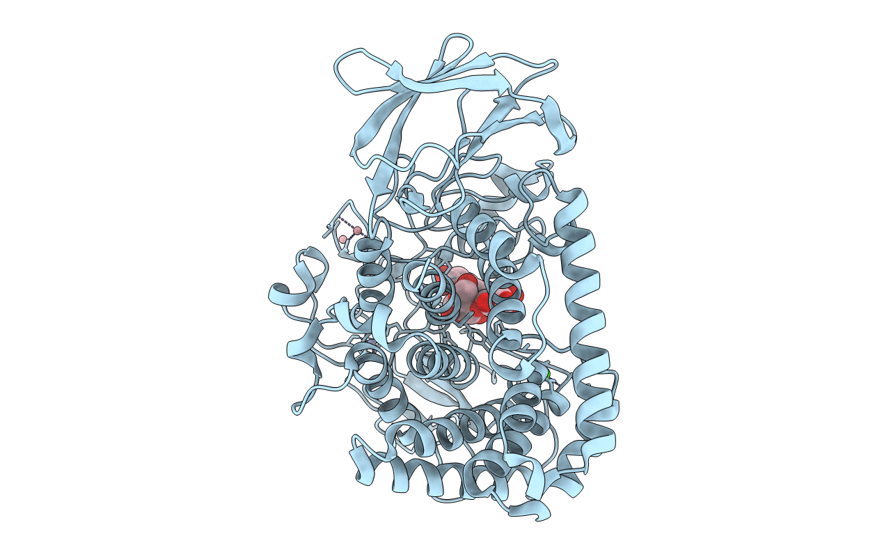 3H2W image