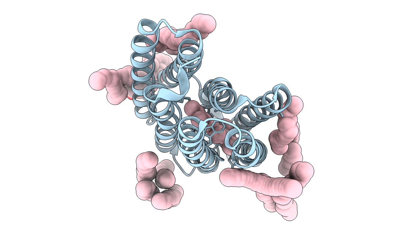 3HAP image