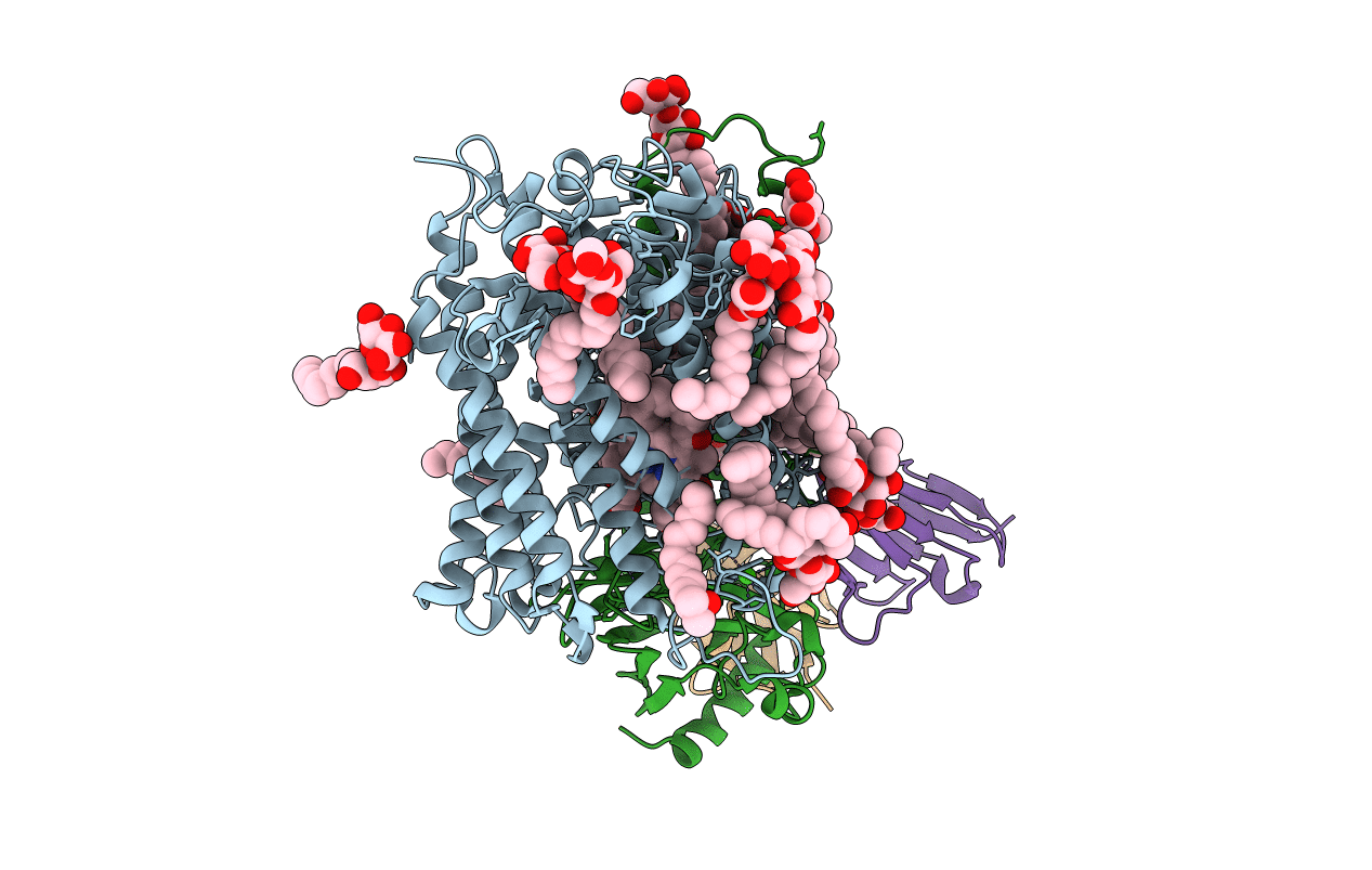 3HB3 image