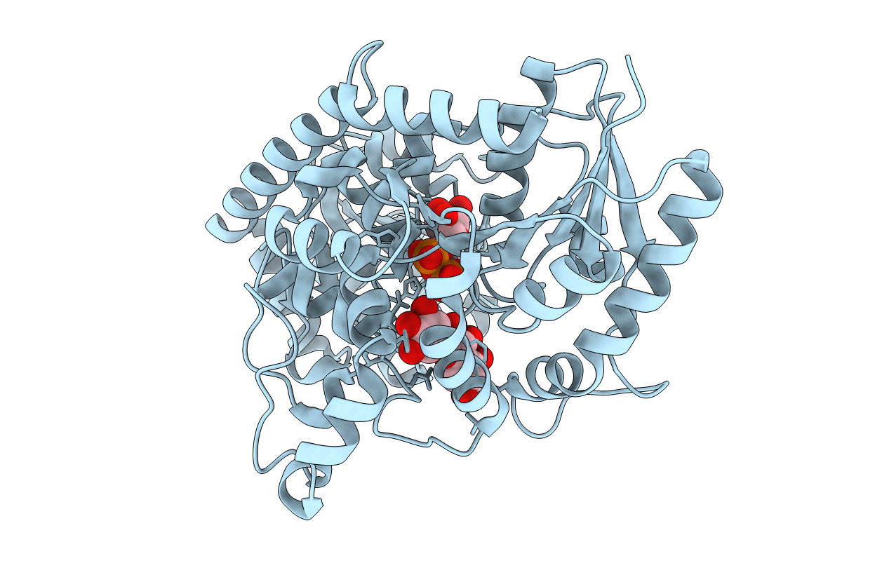 3HBF image