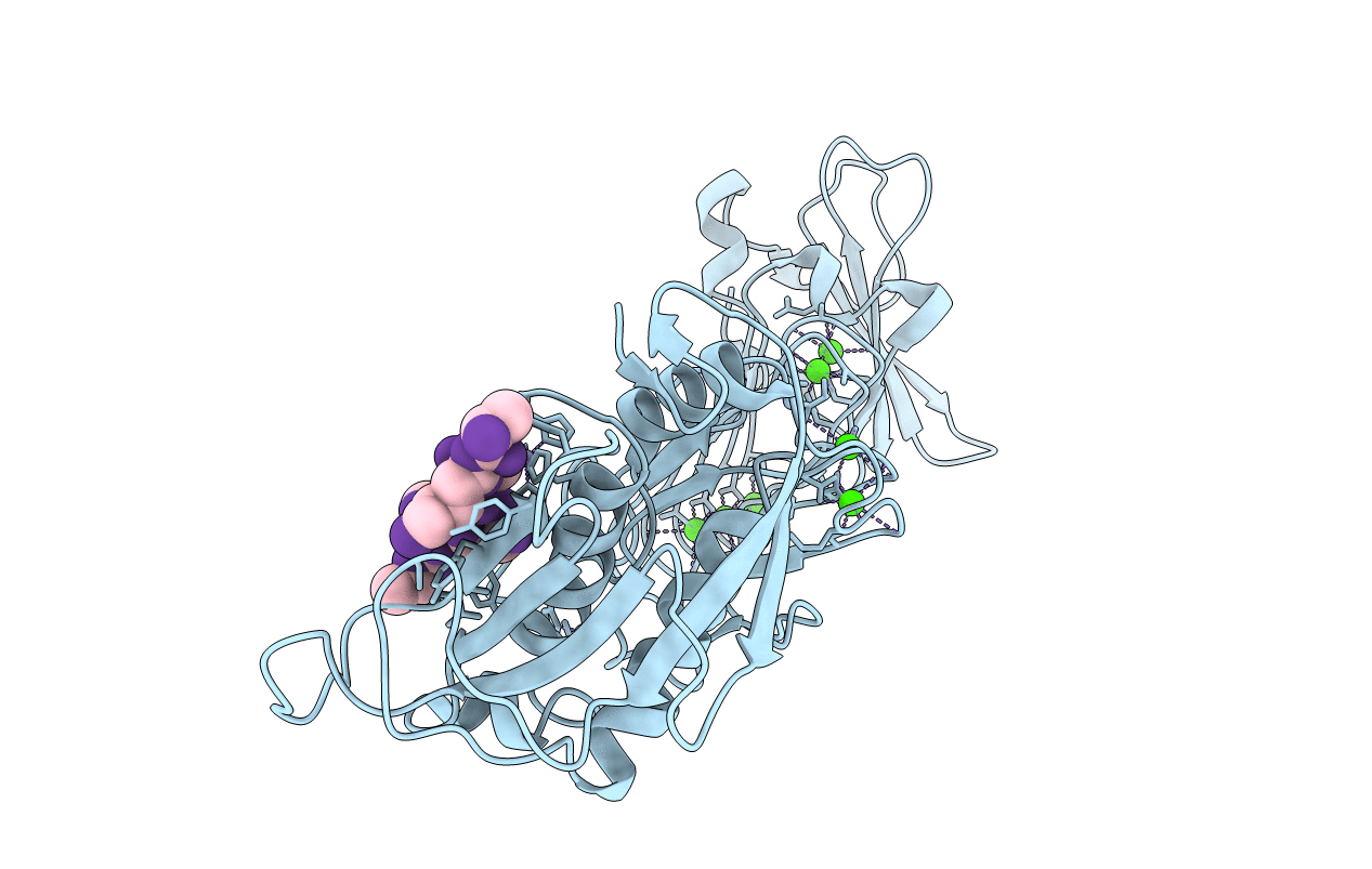 3HBV image