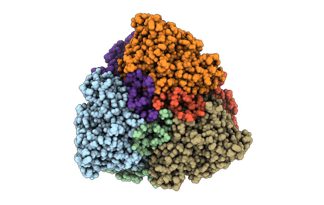 3HBX image