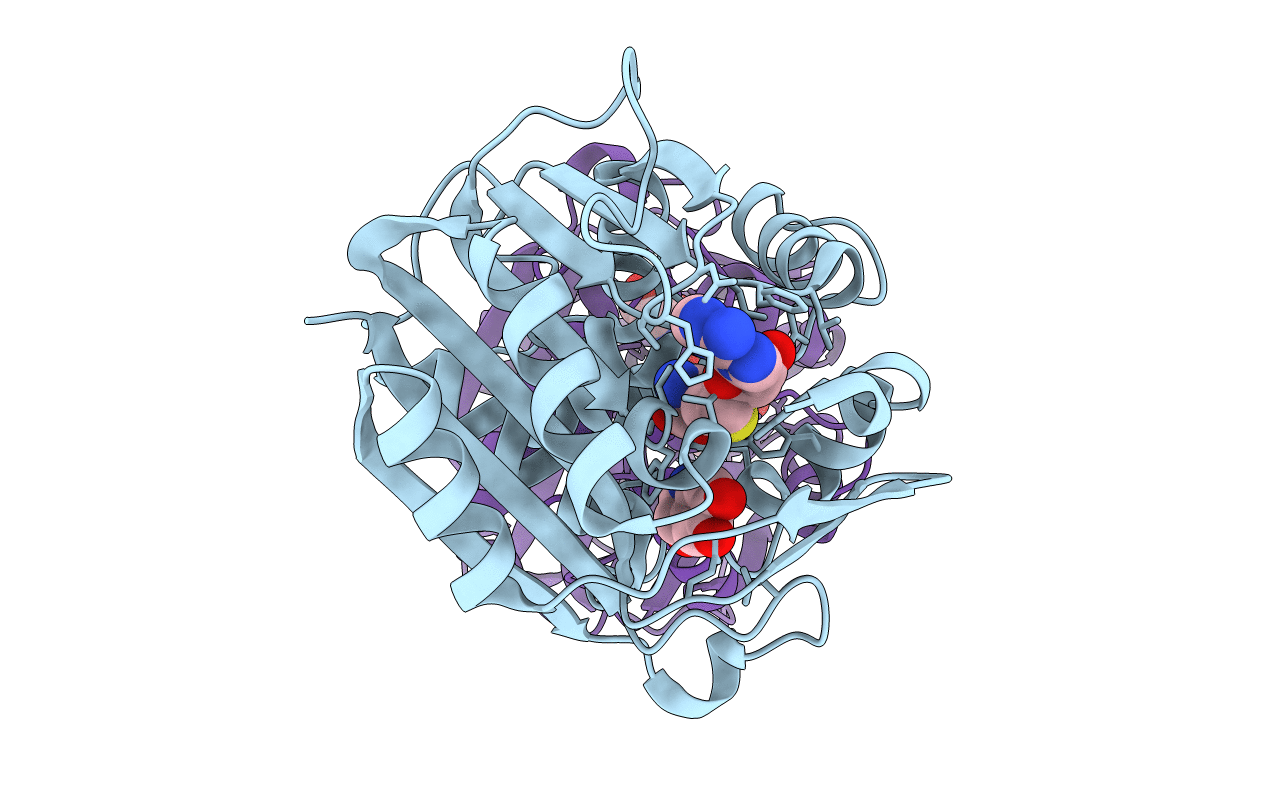 3HCB image