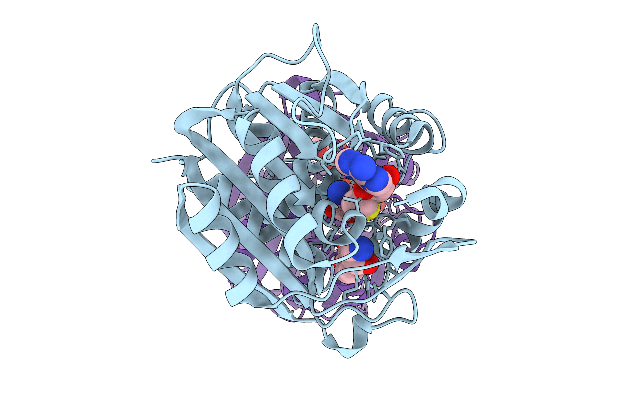 3HCD image