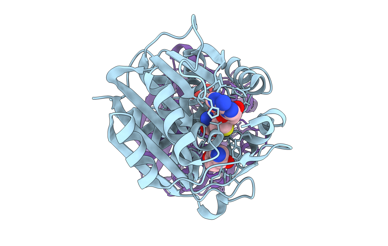 3HCE image