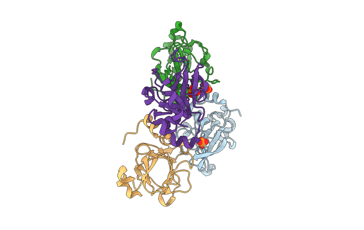 3HCG image
