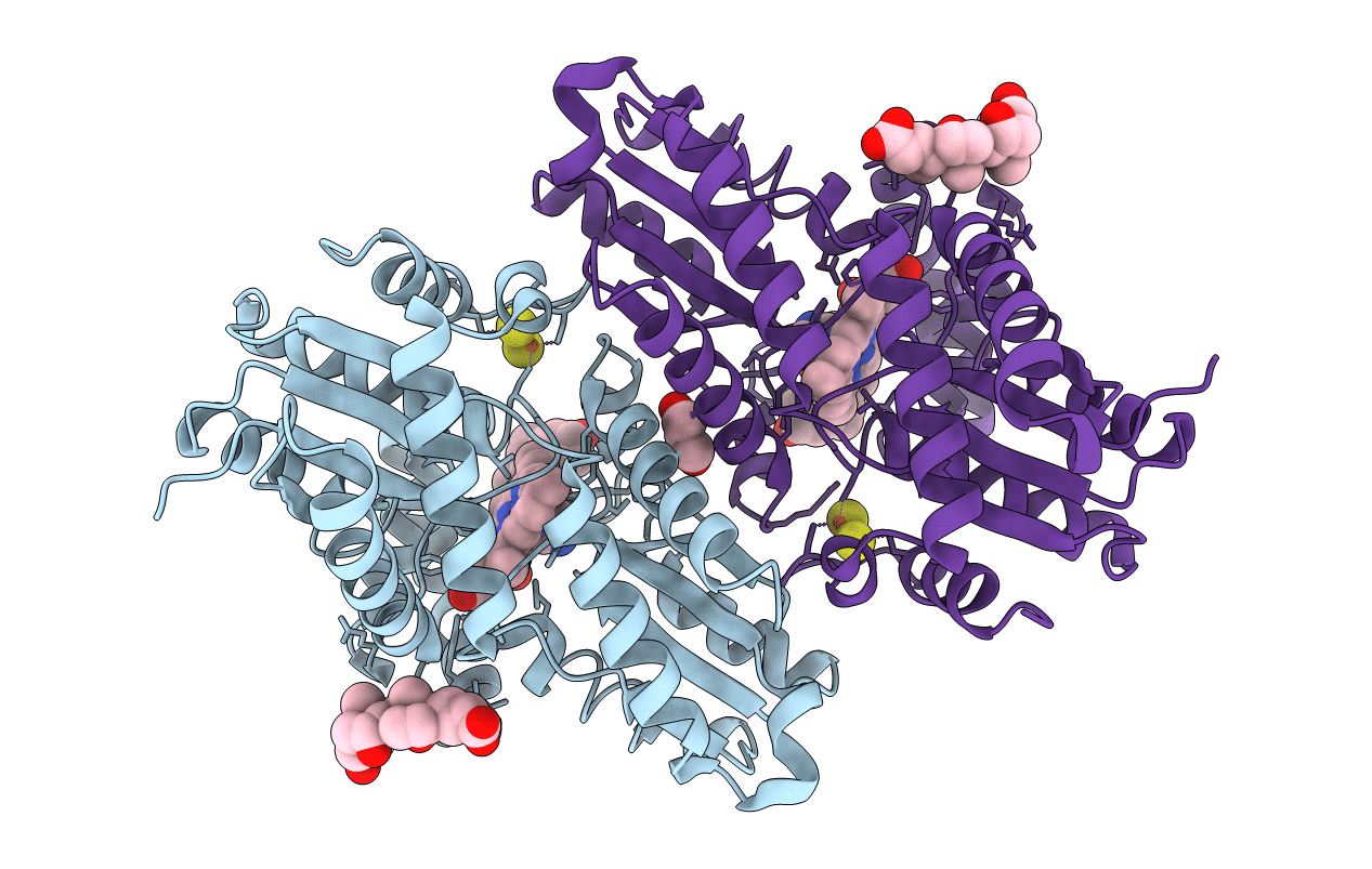 3HCP image