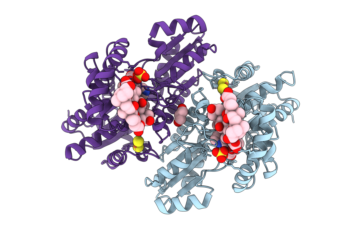 3HCR image