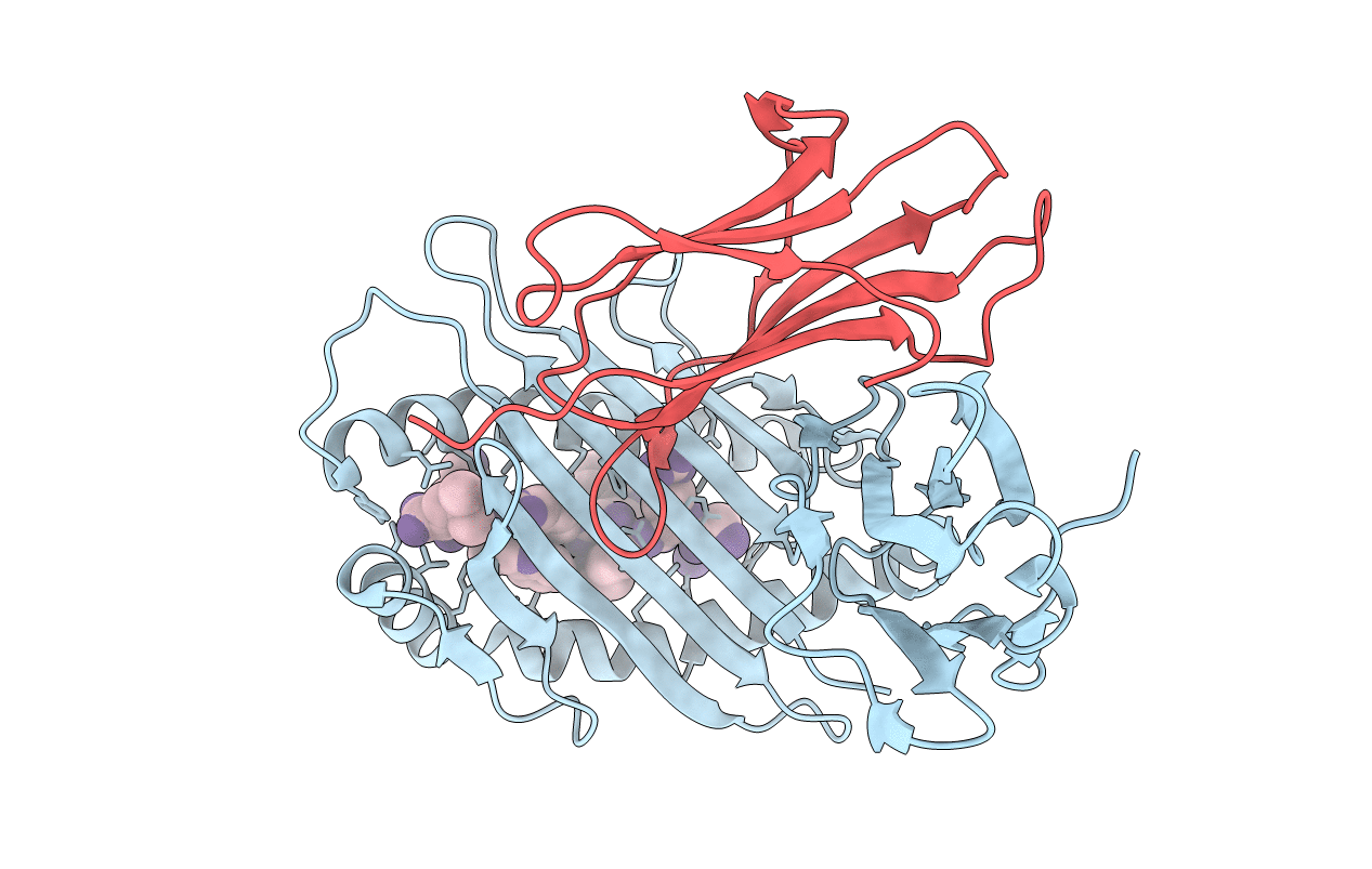 3HCV image