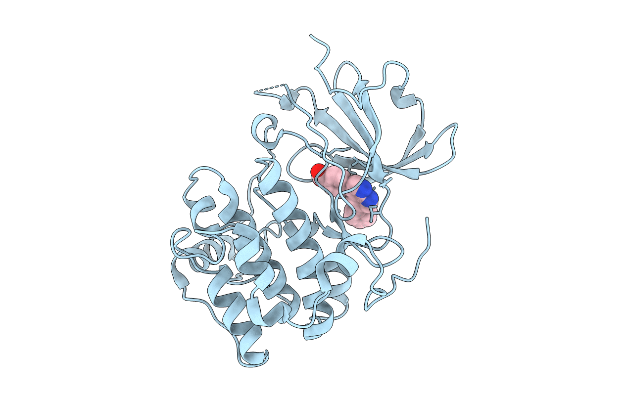 3HDM image