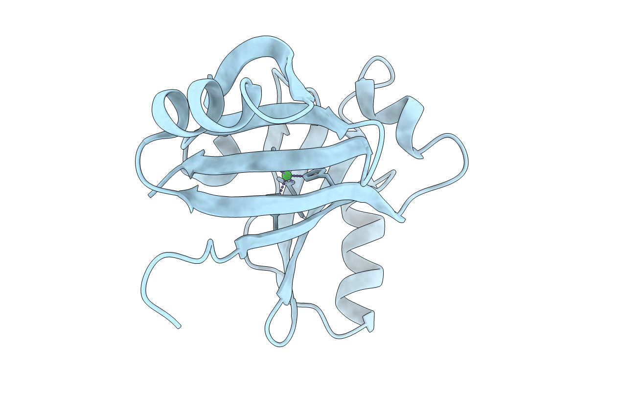3HDP image