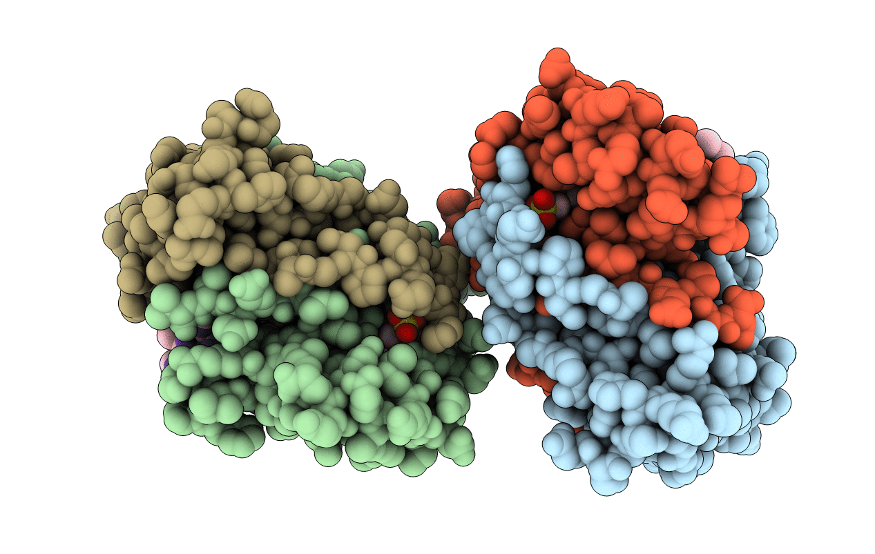 3HDS image