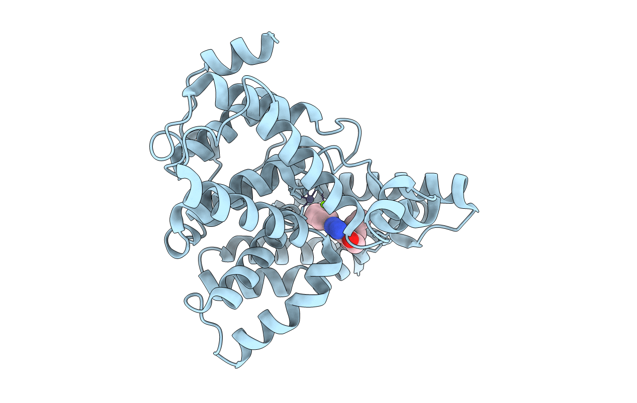3HDZ image