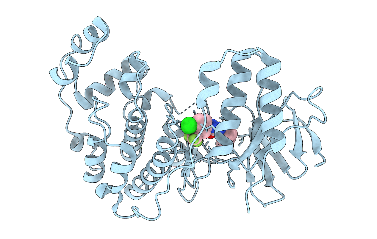 3HEG image