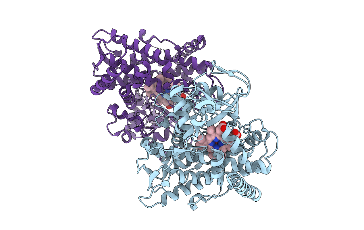 3HF2 image