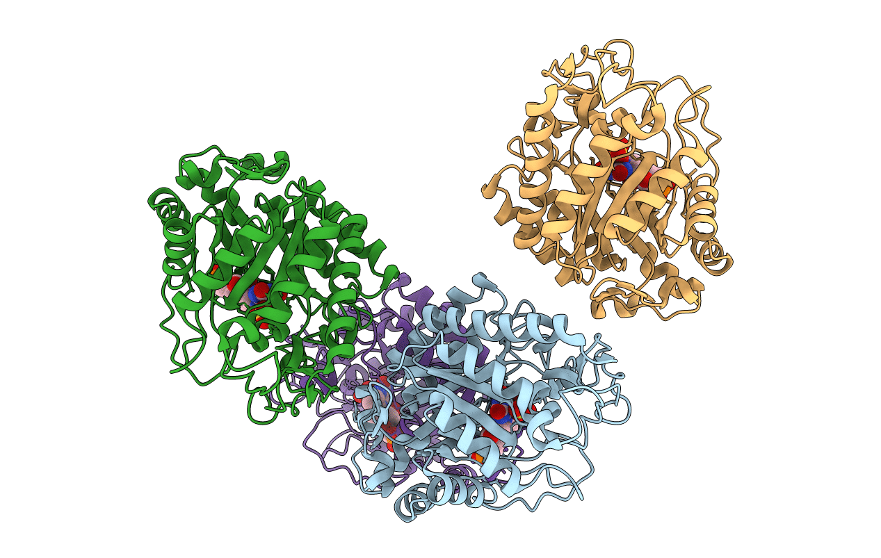 3HF3 image