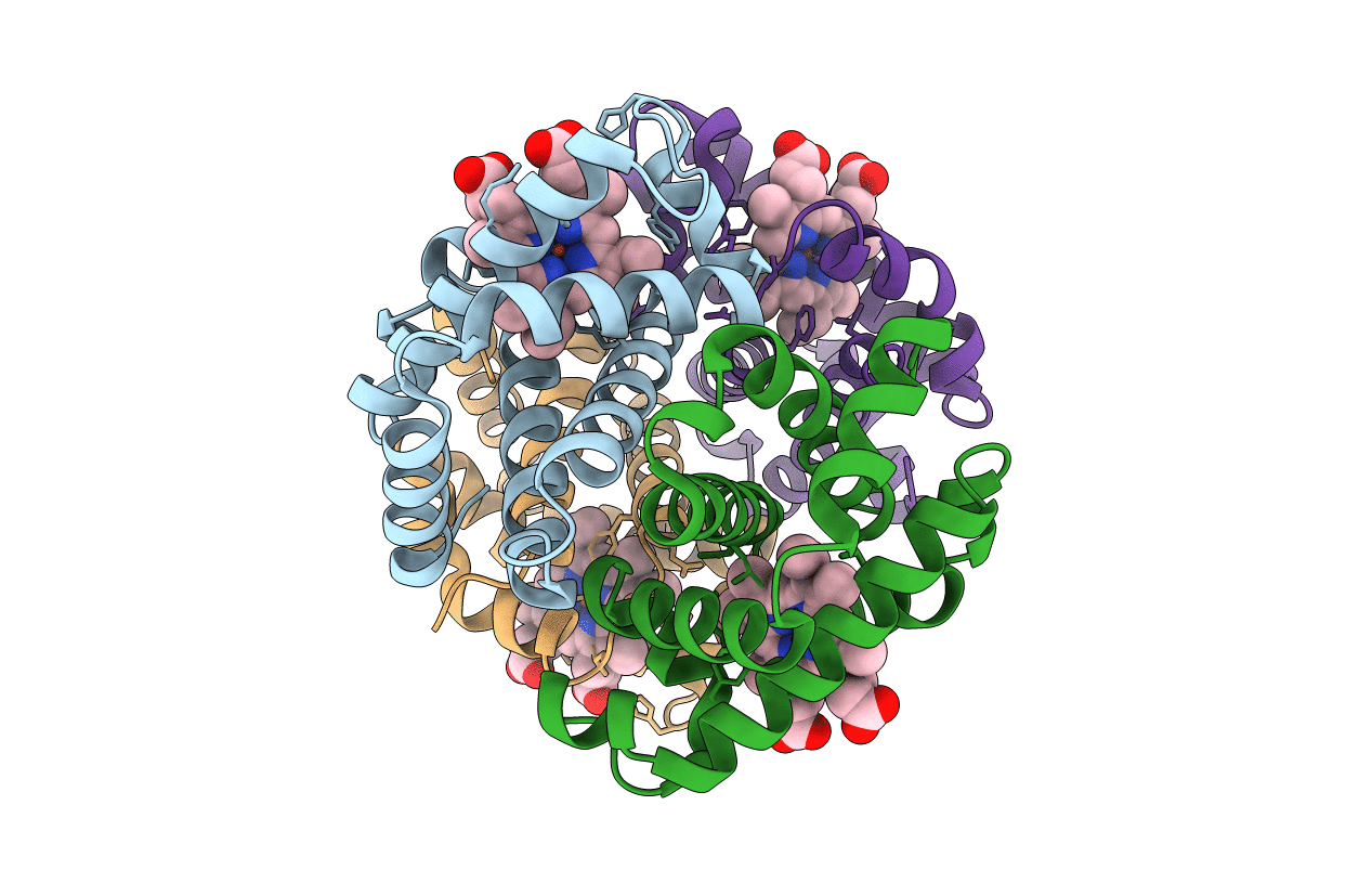 3HF4 image
