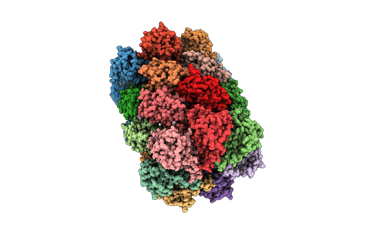 3HFA image