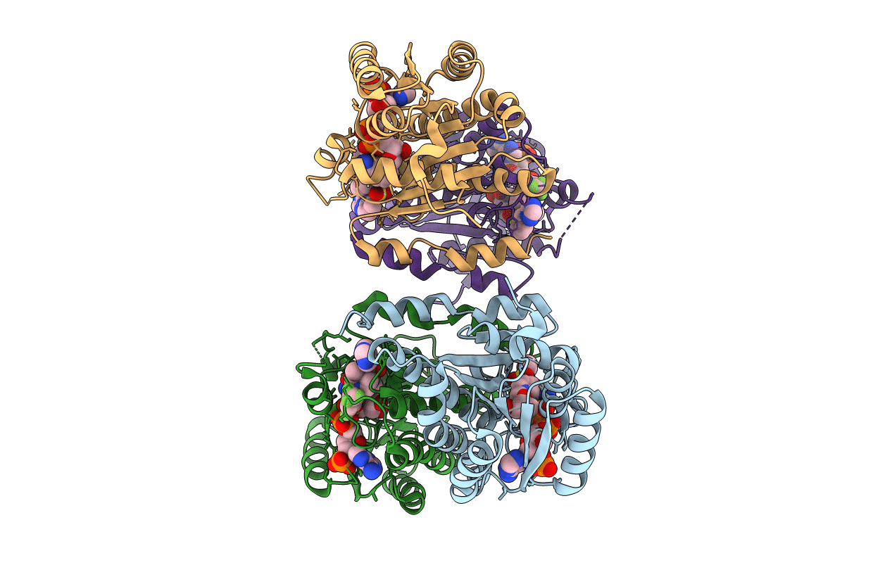3HFG image