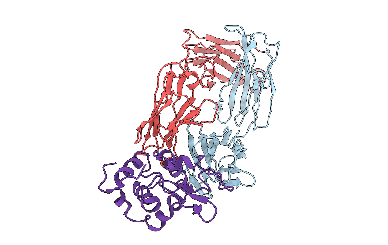 3HFM image