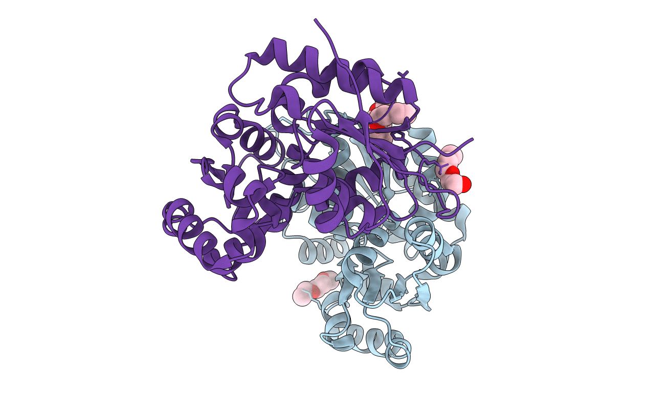 3HFR image