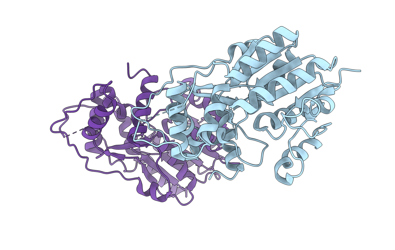 3HFS image