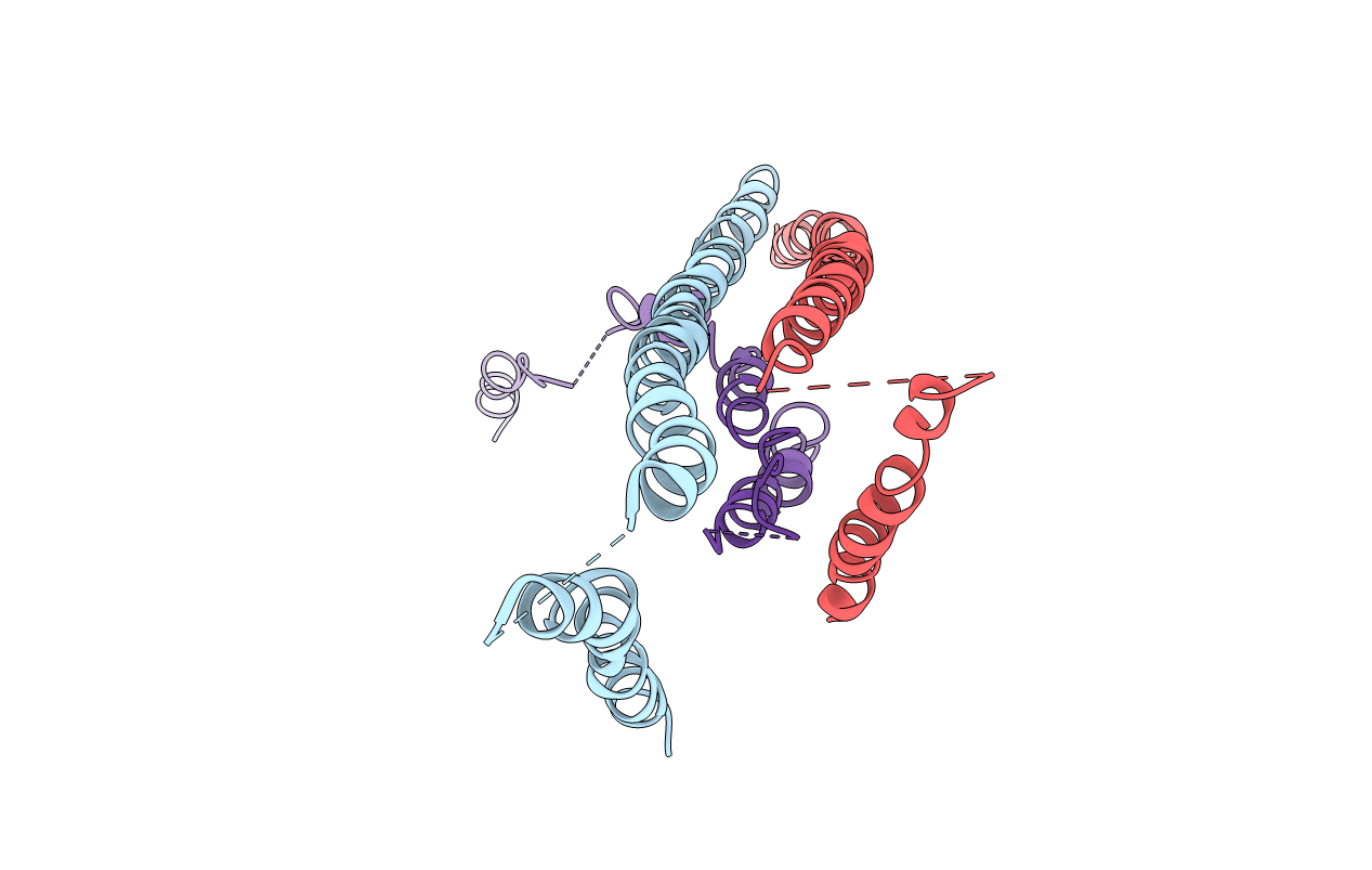 3HGF image