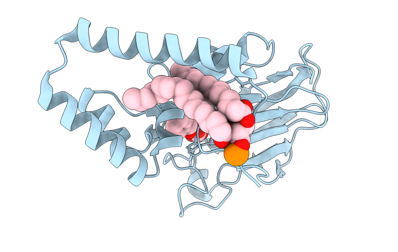 3HGI image