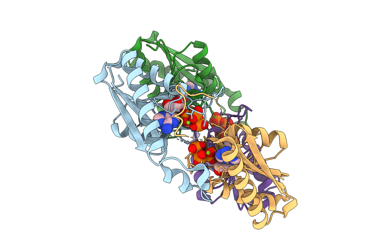 3HGM image